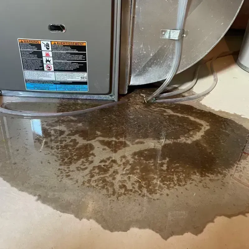 Appliance Leak Cleanup in Lemoore, CA